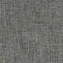 Charcoal Nico C170057